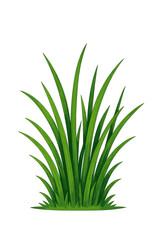 Obraz premium Vibrant Green Grass Blades