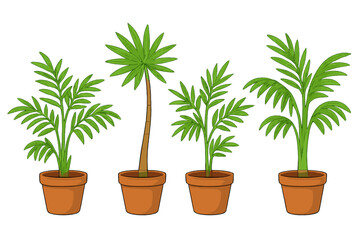 Fototapeta premium Four Potted Palm Plants with Glowing Leaves