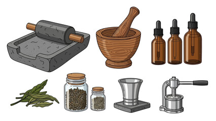 Detailed Vector Illustration Set of Traditional Herbal Medicine Preparation Tools and Natural Remedy Ingredients for Health Concepts