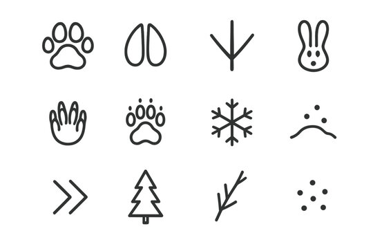 Winter Wildlife Tracks. Winter wildlife footprints. Line outline icon set of Winter wildlife footprints: paw