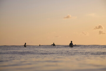 Group Surfers Sitting On Surfboards In Warm Sunset Glow