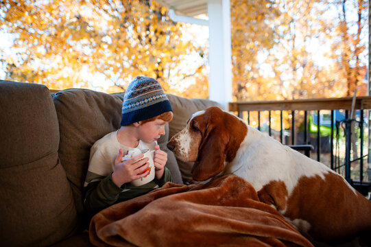 stare down between child and basset hound on fall afternoon