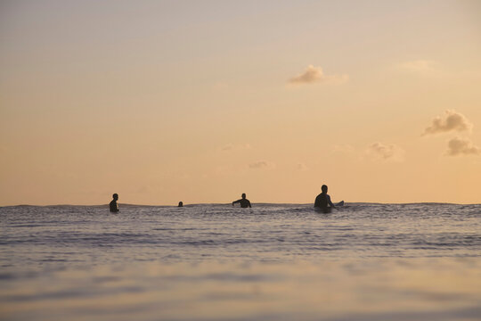 Group Surfers Sitting On Surfboards In Warm Sunset Glow