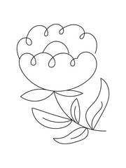 flowers line art