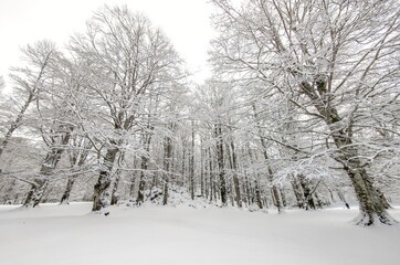 Mount Autore Livata (Subiaco, Italy) - The snow capped peaks mountains in the province of Roma, Lazio region, in Simbruini mounts. Here a beautiful white landscape.
