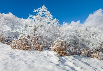 Mount Autore Livata (Subiaco, Italy) - The snow capped peaks mountains in the province of Roma, Lazio region, in Simbruini mounts. Here a beautiful white landscape.