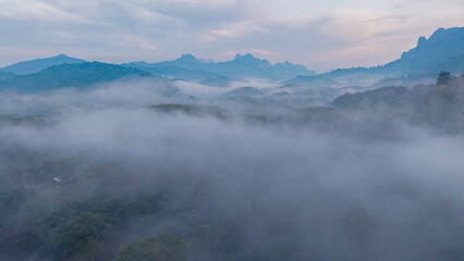 Mist envelops lush landscapes in Khao Sok, Thailand during the early morning hours