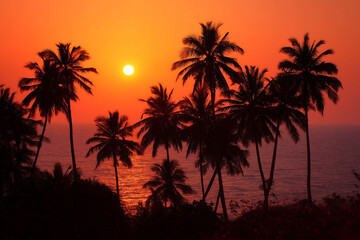 Obraz premium silhouette of coconut trees at sunset.