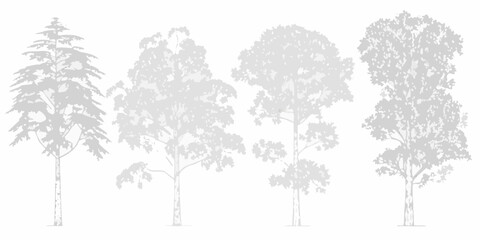 A collection of grayscale trees with varying shapes and heights © Lelin