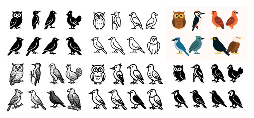 Various bird illustrations collection