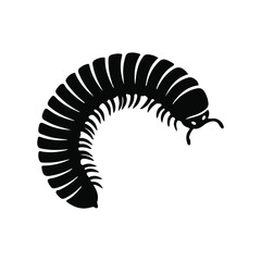 vector illustration of a Millipede 