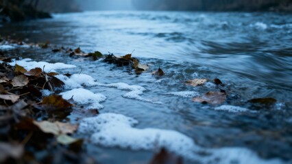 Obraz premium A tranquil riverside scene featuring gently flowing water along the shore, with fallen autumn leaves and soft foam resting at the edge.