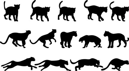 Silhouette, tiger, panther in different angles, set, vector