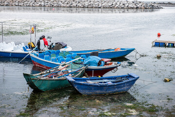 Naklejka premium Strolling through Lima, Peru, a modern and colonial city, essential for understanding the history of America