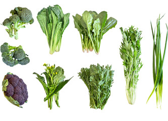 切り抜き透過素材セットー冬野菜2