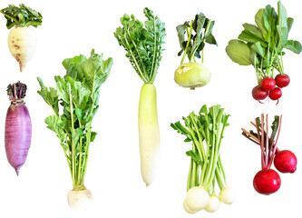 切り抜き透過素材セットー冬野菜