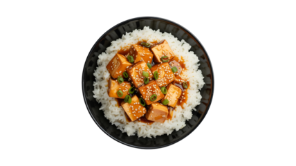 Delicious bowl of white rice topped with cubed tofu in savory brown sauce garnished with sesame seeds and green onions