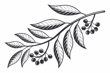 Botanical Leaf Branch  Flat Clean Vector  Pure Whi Vector Illustration Isolated on White Background