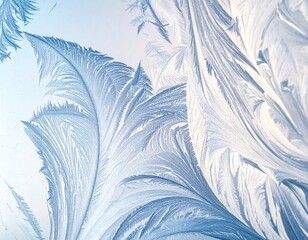 Intricate ice crystals frost the glass, creating an abstract winter scene