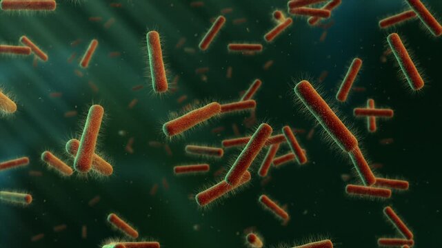 Microscopic View of Rod-Shaped Bacteria