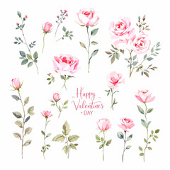 Elegant seamless floral pattern featuring a vector illustration of pink rose blossoms and green leaves on a white background for nature inspired wallpaper or summer card decoration design