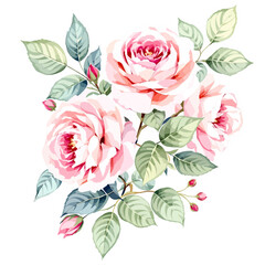 vector illustration of a rose