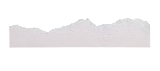 Torn white paper strip showing rough texture and uneven edge, providing copy on transparent space background