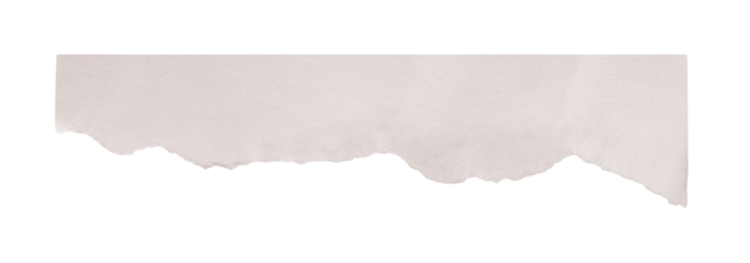 Torn white paper strip showing rough texture and uneven edge, providing copy background space transparent