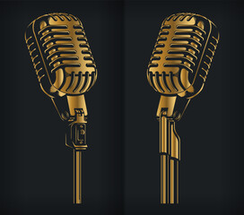 Silhouette Gold Microphone Concert Standing Show