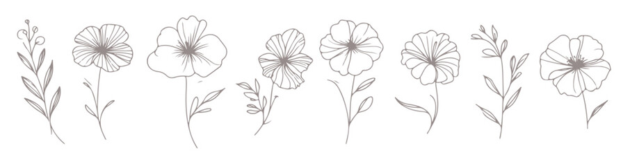 modern botanical flower line art illustrations © Moolb