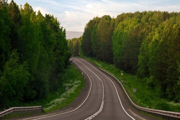 Asphalt country road among lush forests