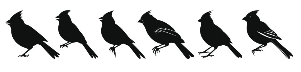 northern cardinal bird silhouettes vector set set