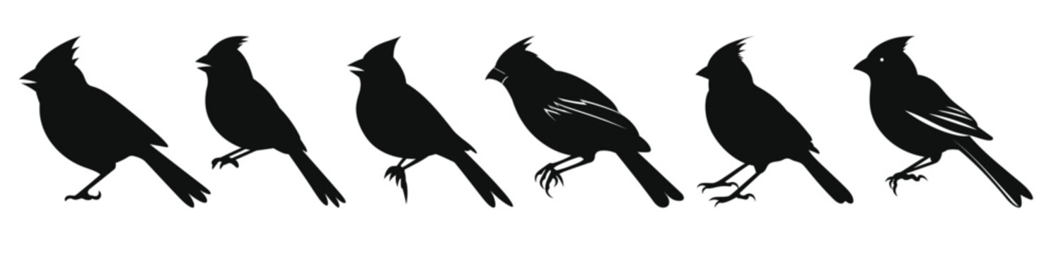 northern cardinal bird silhouettes vector set set
