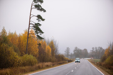 Empty Country Road Through Autumn Forest in Latvia