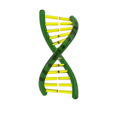 3D Render Green DNA Helix Icon with Gold Steps Isolated on Transparent Background for Science and Biology