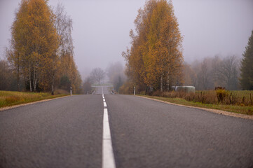 Empty Asphalt Road Through Autumn Trees