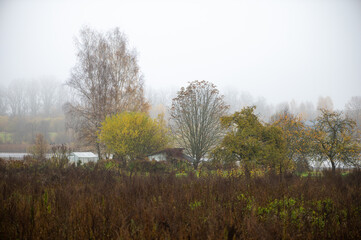 Fototapeta premium Small Rural Houses Among Autumn Trees