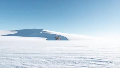 Minimal winter landscape featuring a vast snowy field under a clear pale blue sky with two distant trees standing quietly on the horizon, ideal for backgrounds, design space and nature themes