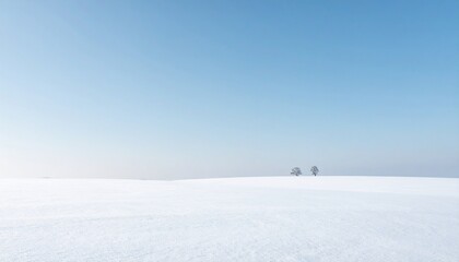 Minimal winter landscape featuring a vast snowy field under a clear pale blue sky with two distant trees standing quietly on the horizon, ideal for backgrounds, design space and nature themes