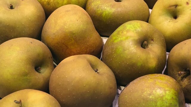 Large, fragrant, sweet fruit Nashi Pear, is a species of pear tree native to East Asia. . High quality 4k footage