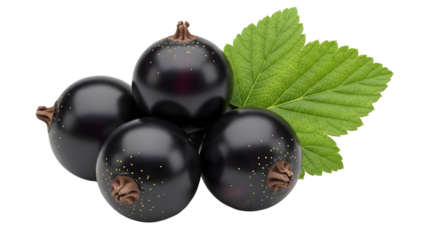 Blackcurrants isolated on transparent background with green leaf
