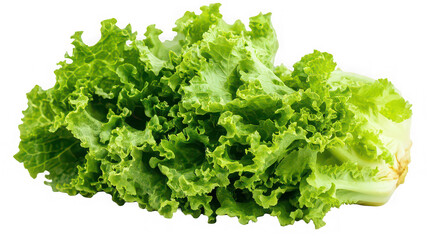 Fresh green curly lettuce leaves isolated on white background

