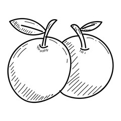 Orange Fruit Doodle Illustration