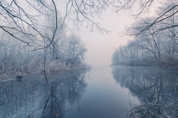 Gorgeous scene of a dreamy morning foggy lake with rime-covered trees, reeds, and bushes on the...