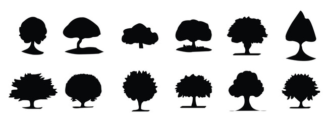  tree silhouettes evergreen forest firs and spruces black © Ualj