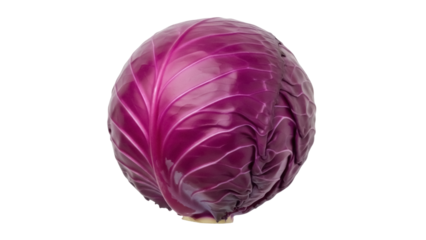 Isolated head of red cabbage, a healthy and vibrant whole vegetable perfect for salads