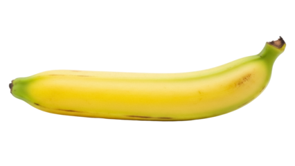 Isolated ripe banana, a tropical fruit, Cavendish variety with vibrant yellow peel and no blemishes