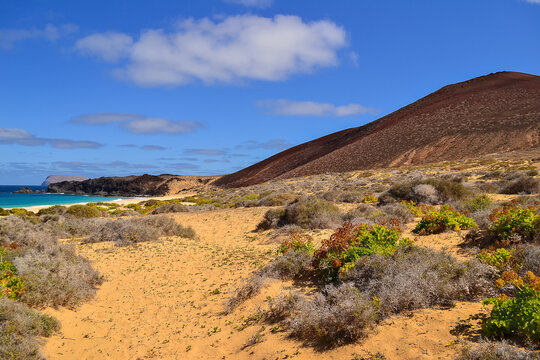 Playa de las conchas beach and Montana Bermeja mountain, La Graciosa Island, Canary Islands, Spain