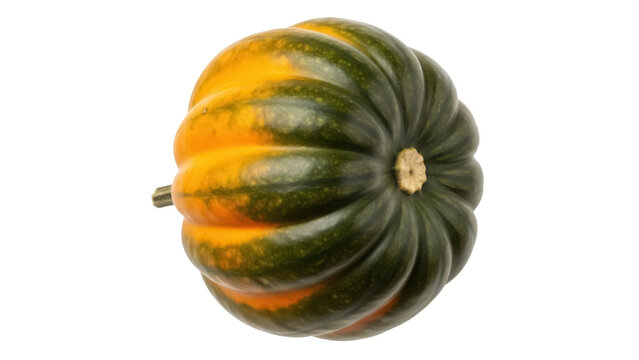 Isolated winter squash gourd, ripe uncooked acorn vegetable for healthy food diet nutrition
