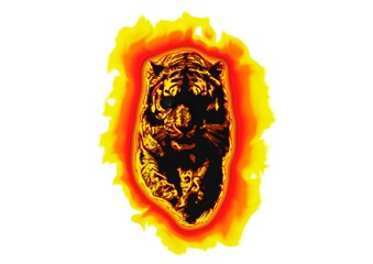 白背景に燃える火の虎のデジタルアート。炎に包まれた虎の力強いイメージイラスト。